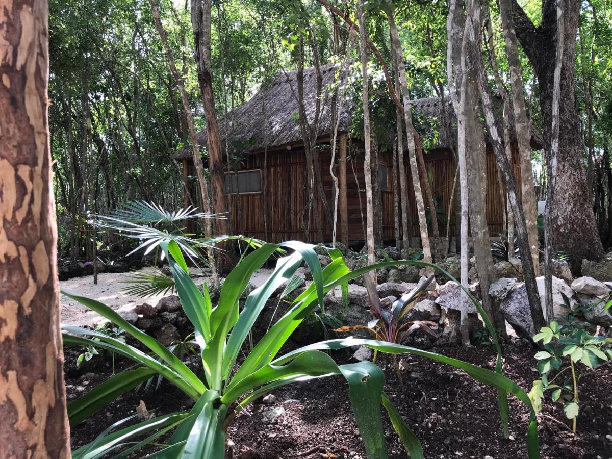 Bayou Tulum Exteriér fotografie